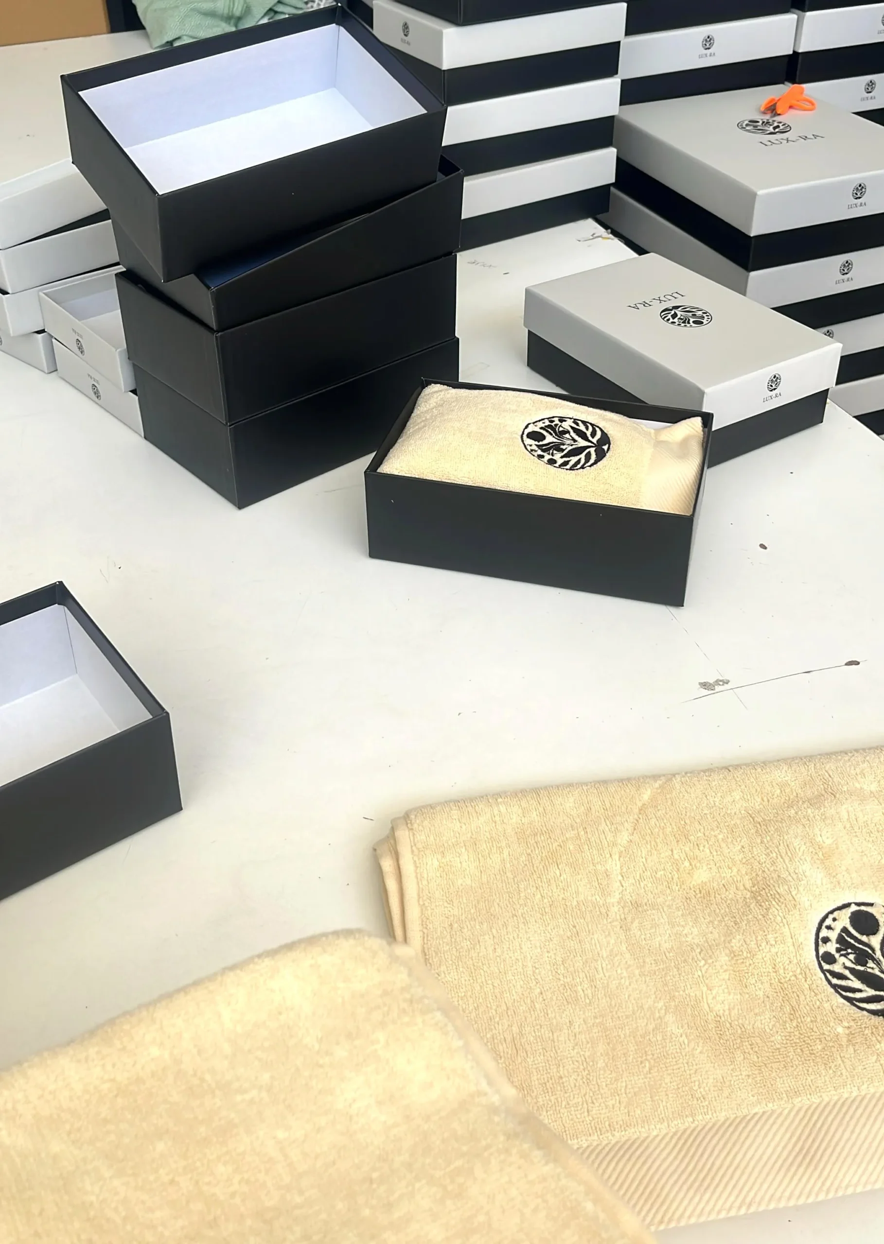Case Studies Premium boxed private label towel collection for the United States market